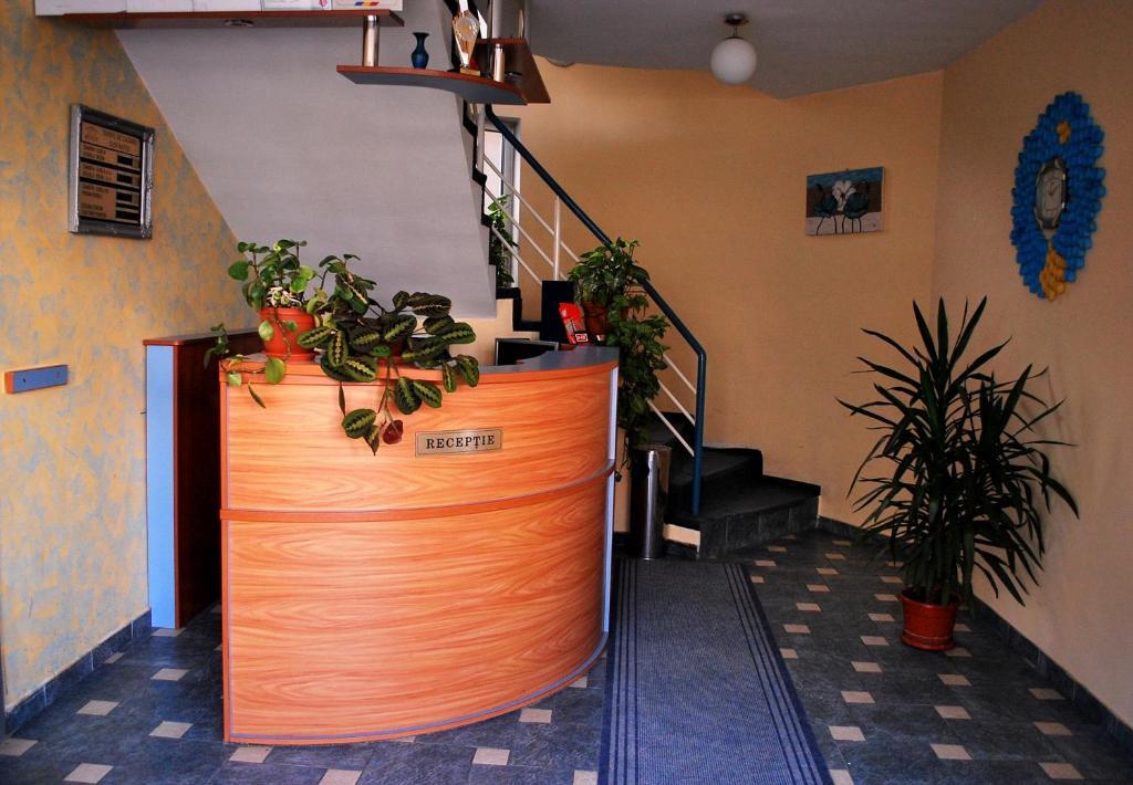 Vila Meteor Kolozsvár Kültér fotó